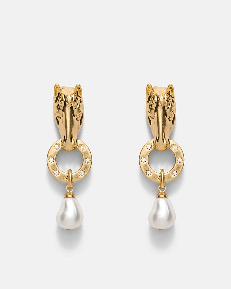 Rodeo Earrings